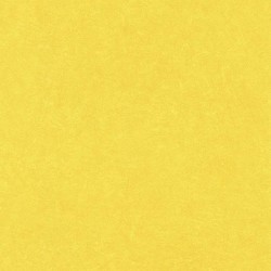 Обои Rasch Barbara Becker II 860177