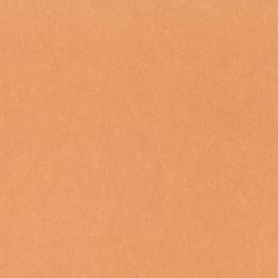 Обои Bernardo Bartalucci Legend 5068-59