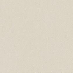 A100307 Обои ARTSIMPLE (Mixture) (1*6) 10,00x1,06 винил на флизелине